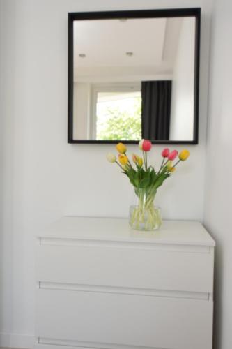 Apartamento Appartamento Rosso