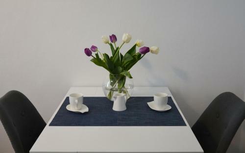 Apartament Staromiejski Zosia