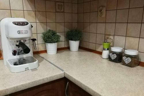 Apartament Oliwkowy