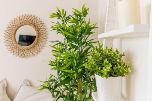 Apartamento Cosy & Downtown Flat Valencia.