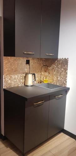 Apartament Ducha N�9