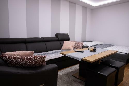 Apartament Kopernik