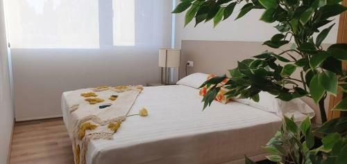 Apartamentos Antares 3