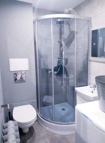 Apartament Wa?brzych