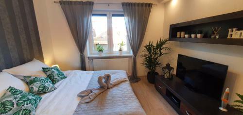 Apartament A&s Widok W Wa?brzychu