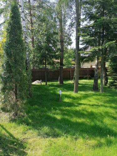 Apartamenty Pokoje Ina