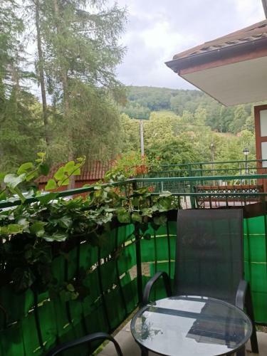 Apartament Ustro? Jaszowiec