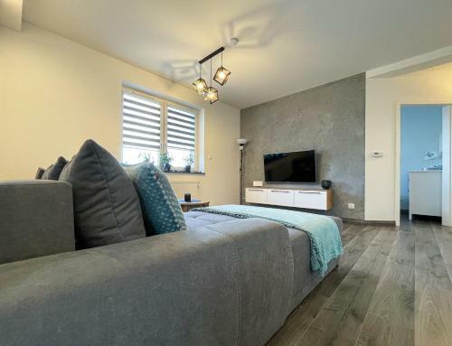 Apartament Aim Le?ny Zak?tek