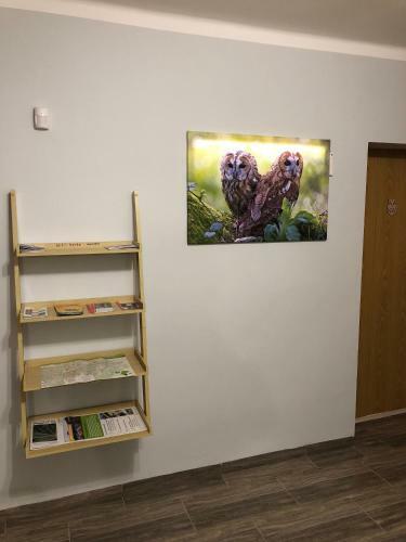 Sowa Apartamenty