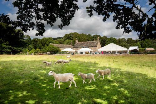 Heathy Lea Bed And Breakfast