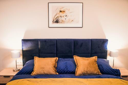 Villa Harmonia Apartamenty Ustro?