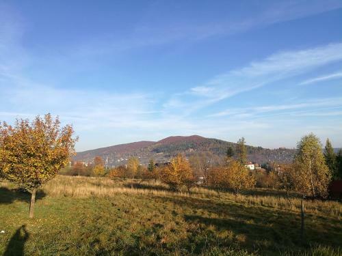 Przysta? Gromadzy?