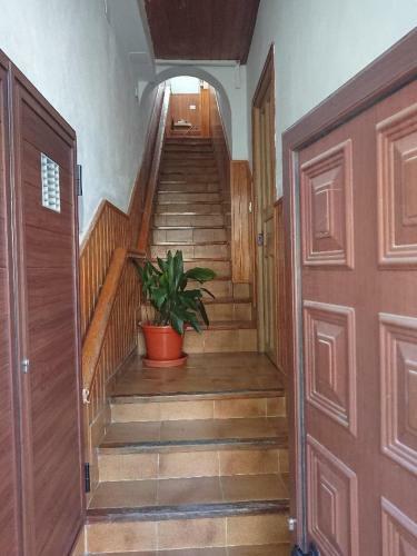 Apartamento El Jard�n de Las Retamas