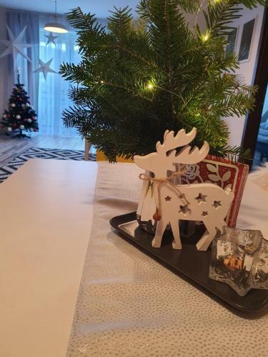 Apartament W Centrum