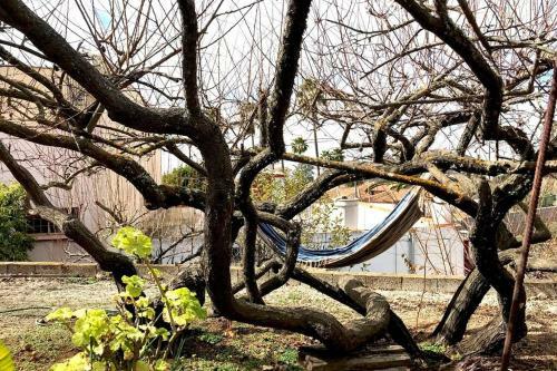 Casa T�a Ines