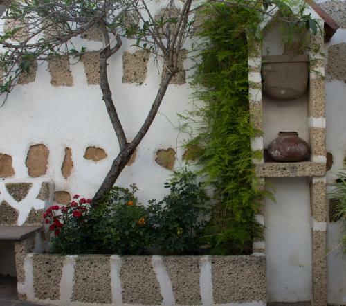 Casa El Pino