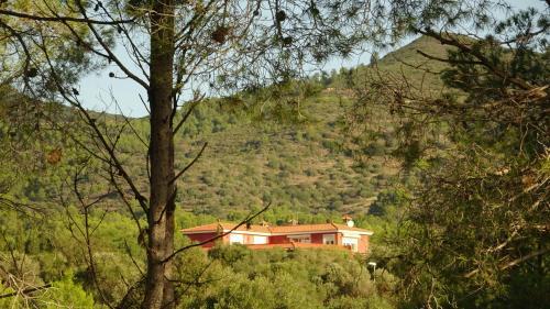 Apartamento Views, Tranquility Between Sea And Mountains