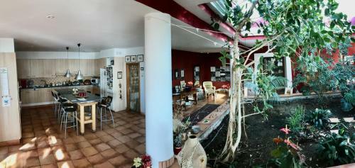 Apartamento Views, Tranquility Between Sea And Mountains