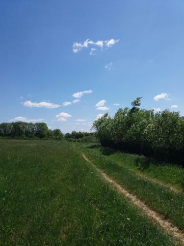 Apartamento Blisko Lasu