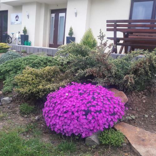Apartamenty Przy Trakcie Cesarskim