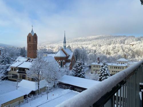 Bieszczady Apartament "cicha Woda"