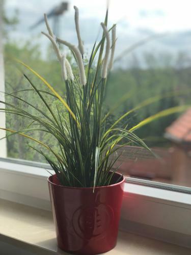 Apartament S?oneczny