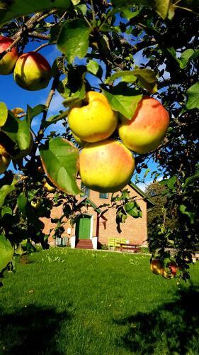 Agroturismo Gaj�wka