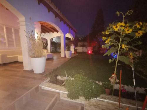 Villa Palomayor