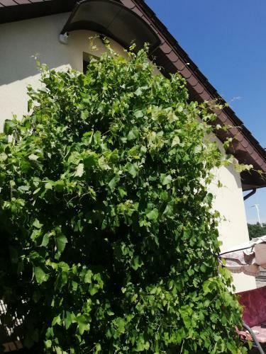 Apartamento S?oneczne Zacisze