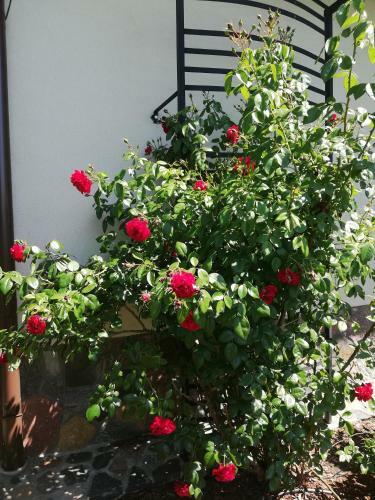 Apartamento S?oneczne Zacisze