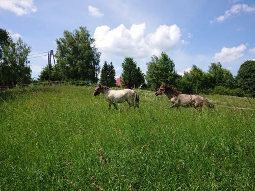 Apartamento Cudne Manowce