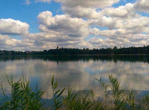 Apartamenty Dominik