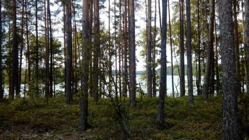 Apartamento Wczasy Na Kaszubach U Hani