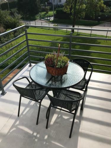 Apartamento Trzy Ma?e Drzewka
