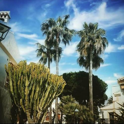 Apartamento Urbanizaci�n Vera Coast