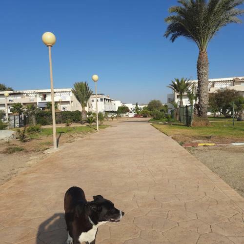 Apartamento Michi Natura World