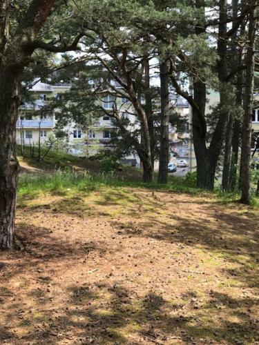 Apartament Ustecka Ostoja Na Wydmie