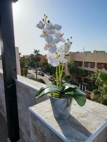 Apartamento �tico D�plex En Primera L�nea Con Piscina Privada!