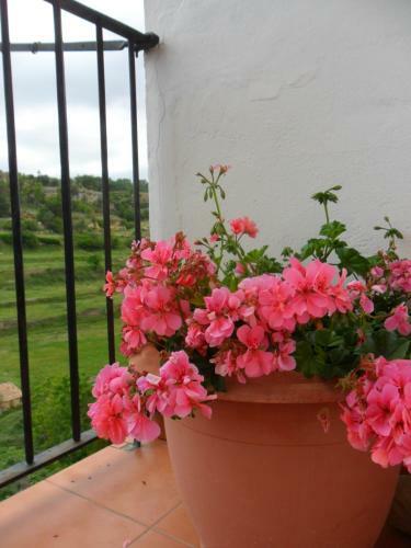 Agroturismo Casa Rural Las Dalias Con Hidromasaje