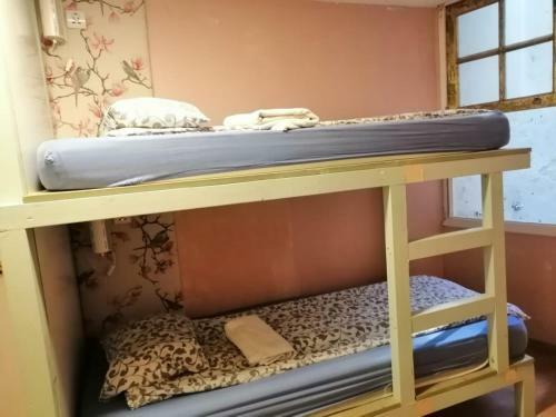 International Hostel Lapplandia B&b.