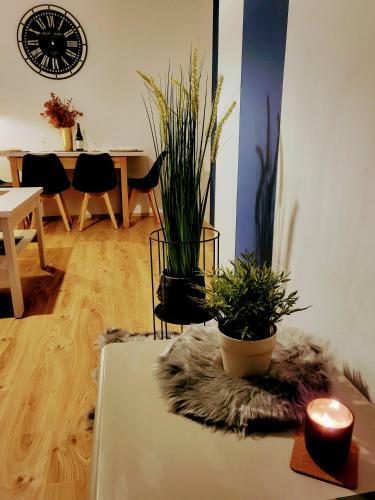 Apartament Wakacyjny Ines
