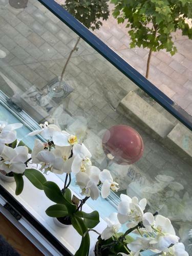 Apartamento Estudio Parking Centro Puerta Del Sol