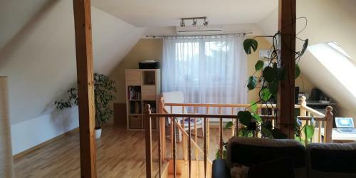 Apartament U Maryli