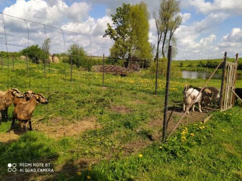 Agroturismo Osada Stara Ba??