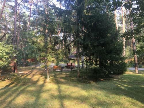 Dworek W Lesie - Nowy Obiekt