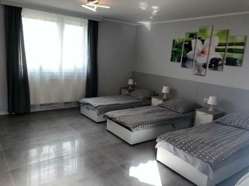 Apartamento Noclegi Witnica
