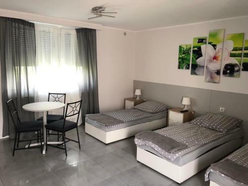 Apartamento Noclegi Witnica