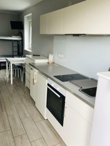 Apartamento Noclegi Witnica
