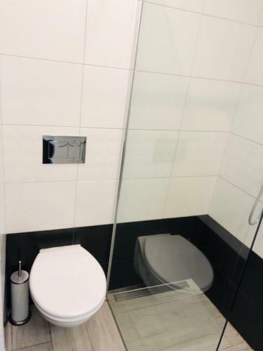 Apartamento Noclegi Witnica
