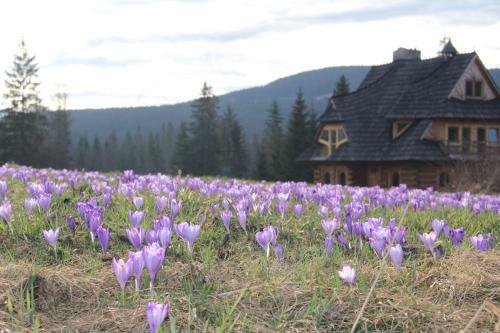 Hostal Willa Giewontka